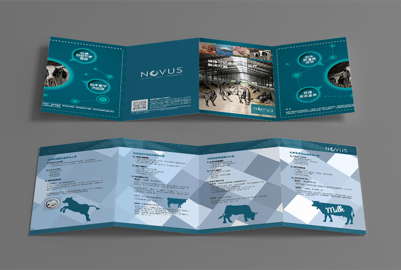 飼料產(chǎn)品宣傳二折頁(yè)印刷